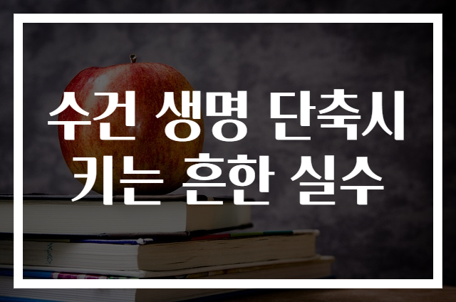 수건 생명 단축시키는 흔한 실수