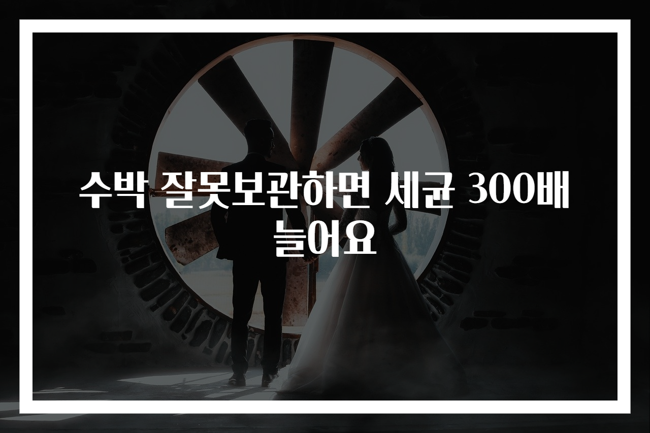 수박 잘못보관하면 세균 300배 늘어요
