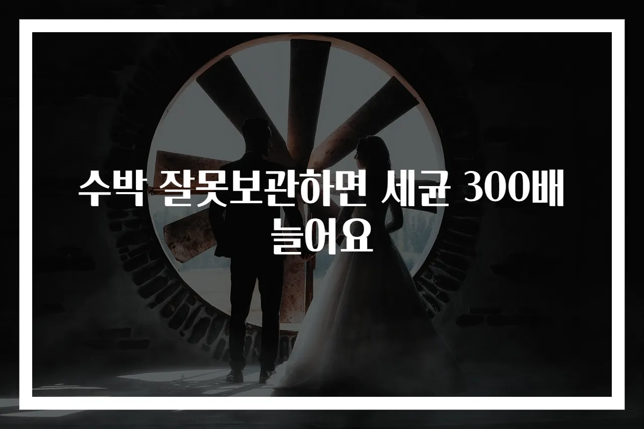 수박 잘못보관하면 세균 300배 늘어요
