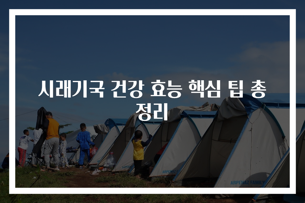 시래기국 건강 효능 핵심 팁 총정리