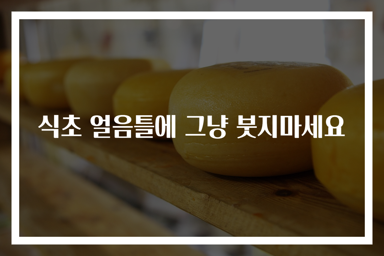 식초 얼음틀에 그냥 붓지마세요