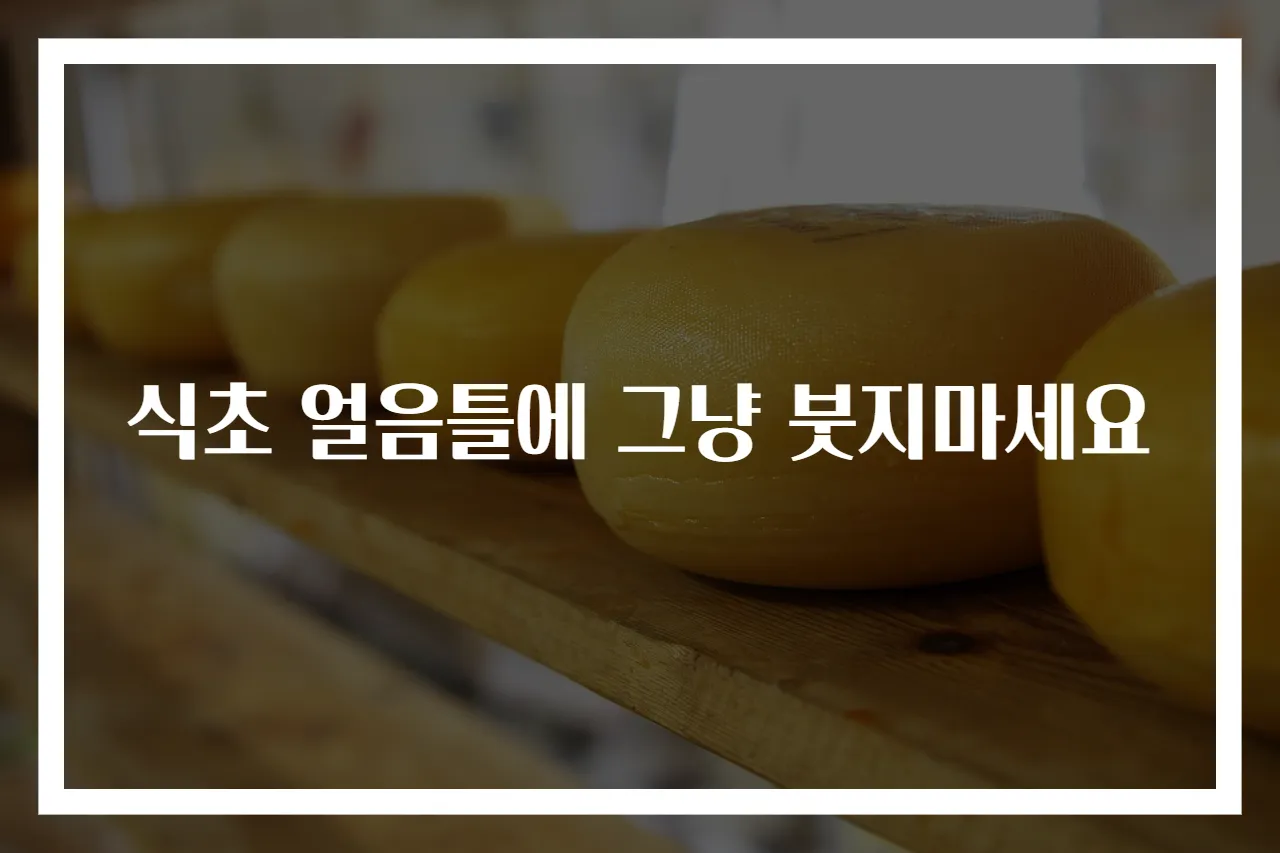 식초 얼음틀에 그냥 붓지마세요