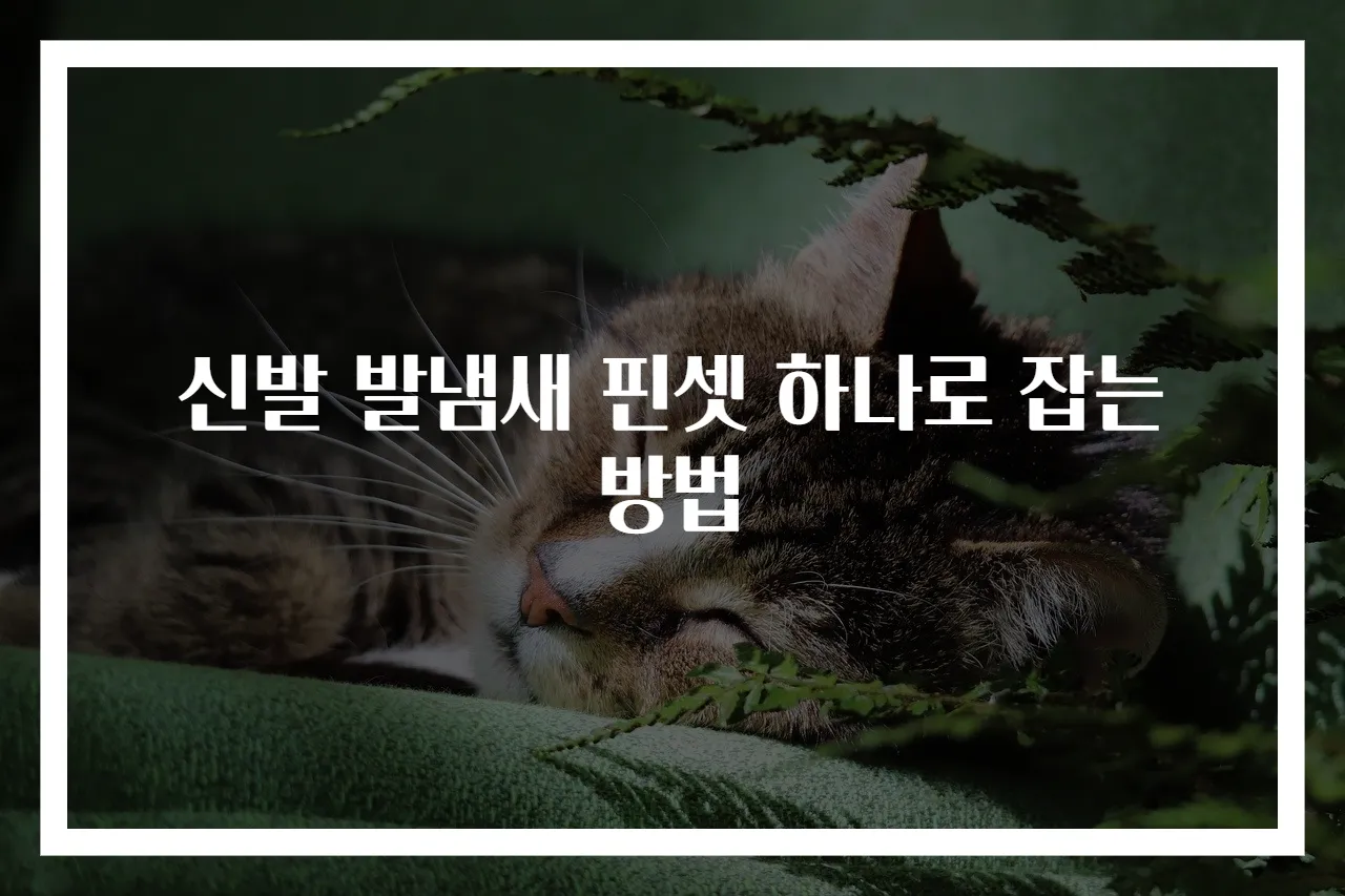 신발 발냄새 핀셋 하나로 잡는 방법