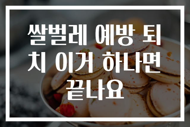 쌀벌레 예방 퇴치 이거 하나면 끝나요