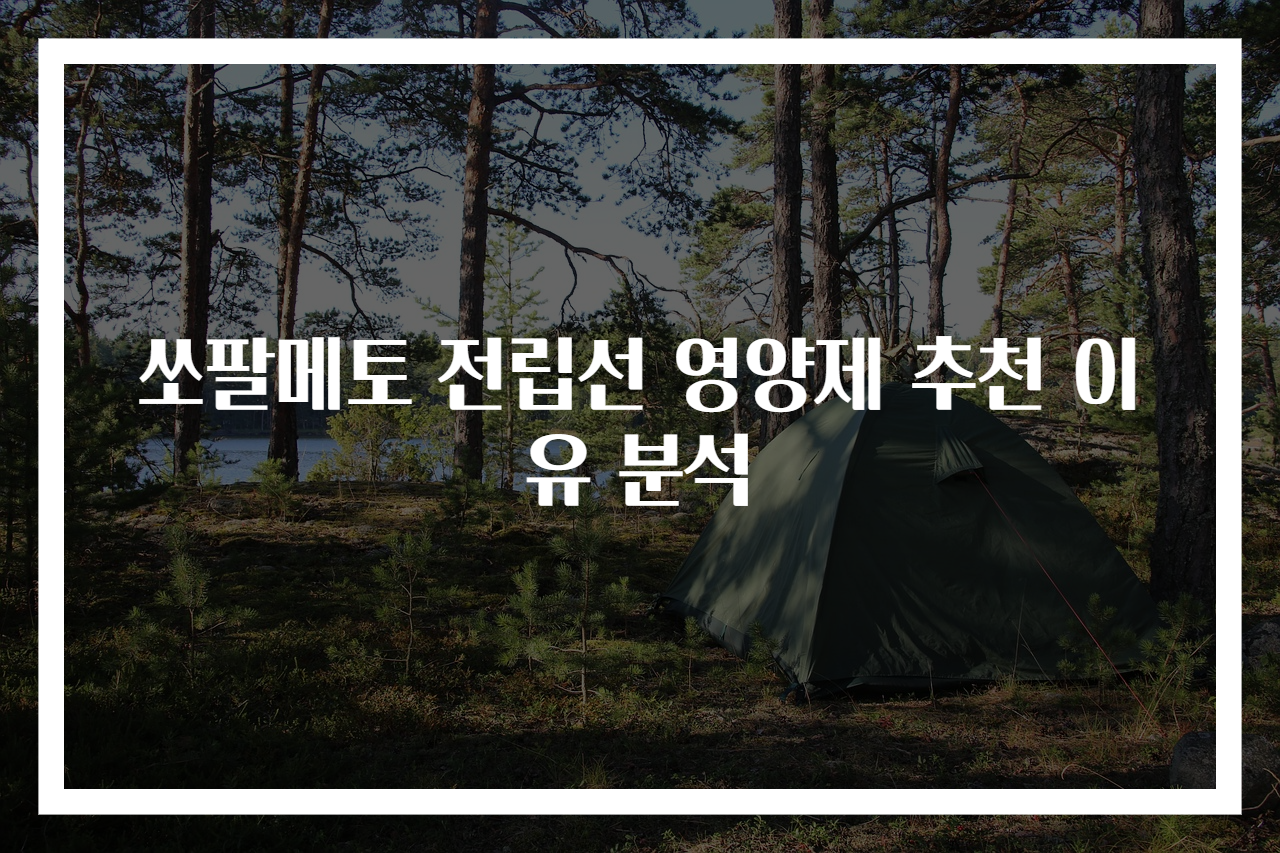 쏘팔메토 전립선 영양제 추천 이유 분석