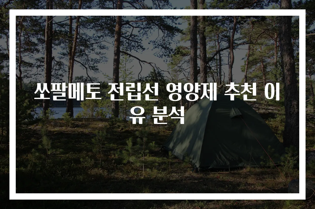 쏘팔메토 전립선 영양제 추천 이유 분석
