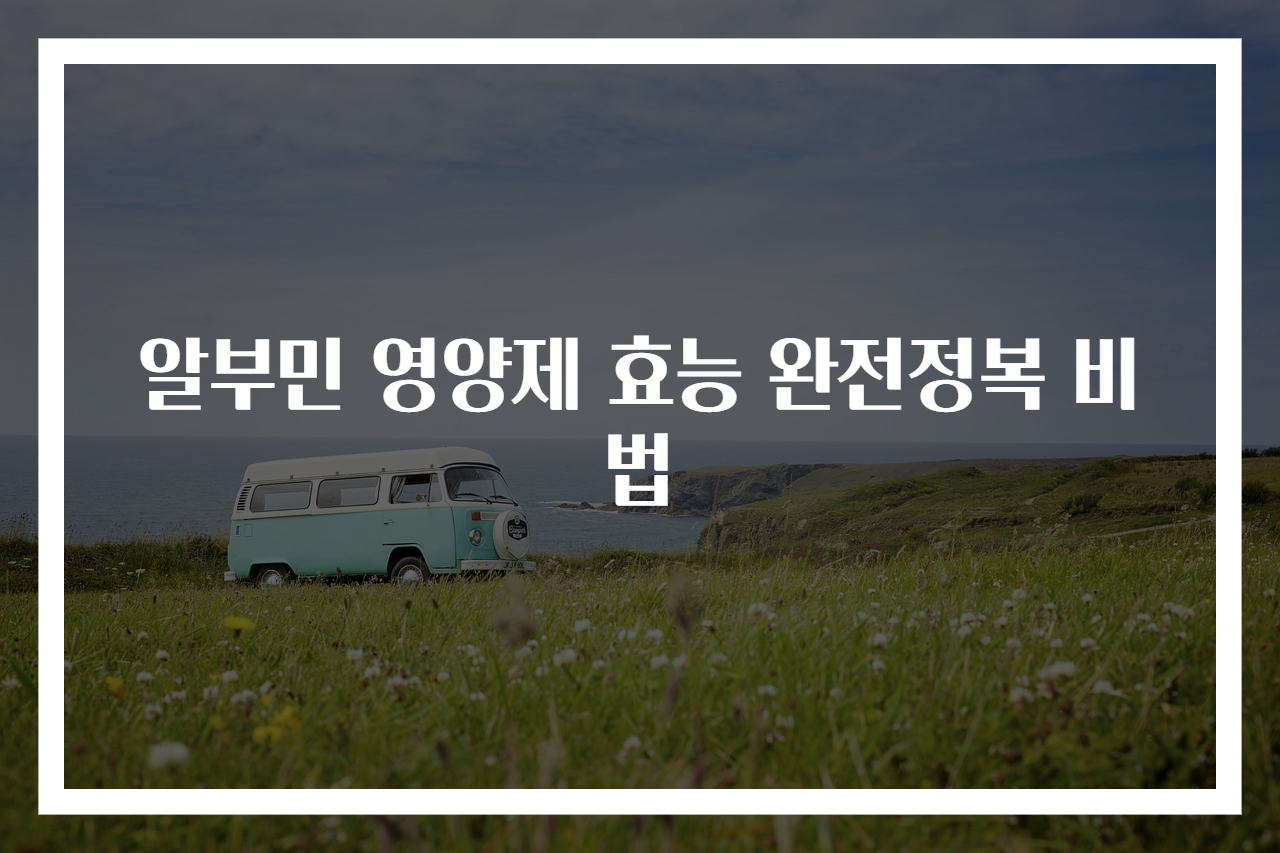 알부민 영양제 효능 완전정복 비법