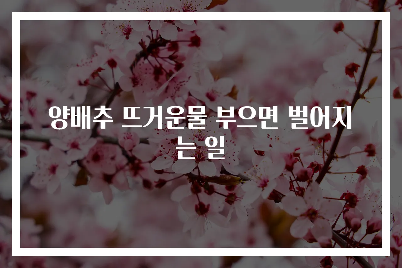 양배추 뜨거운물 부으면 벌어지는 일