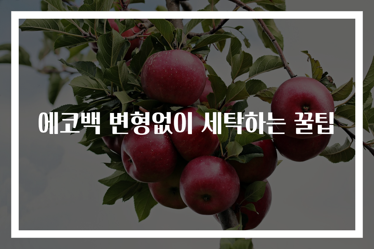 에코백 변형없이 세탁하는 꿀팁