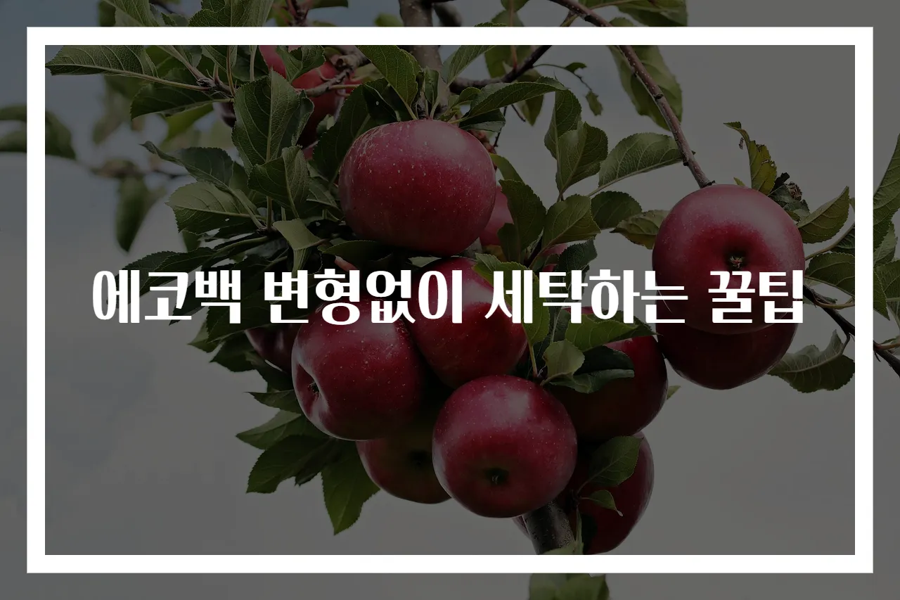 에코백 변형없이 세탁하는 꿀팁