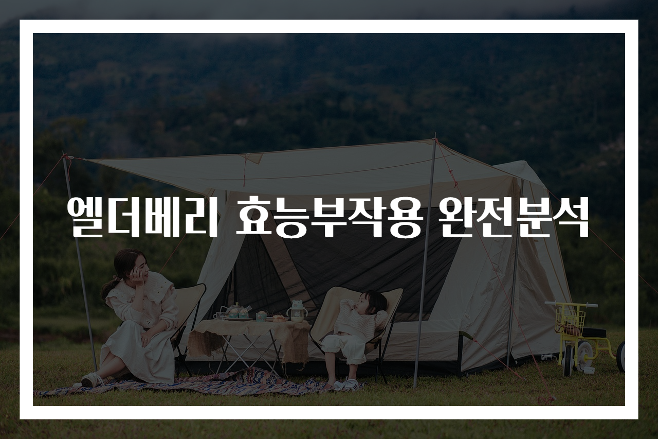 엘더베리 효능부작용 완전분석