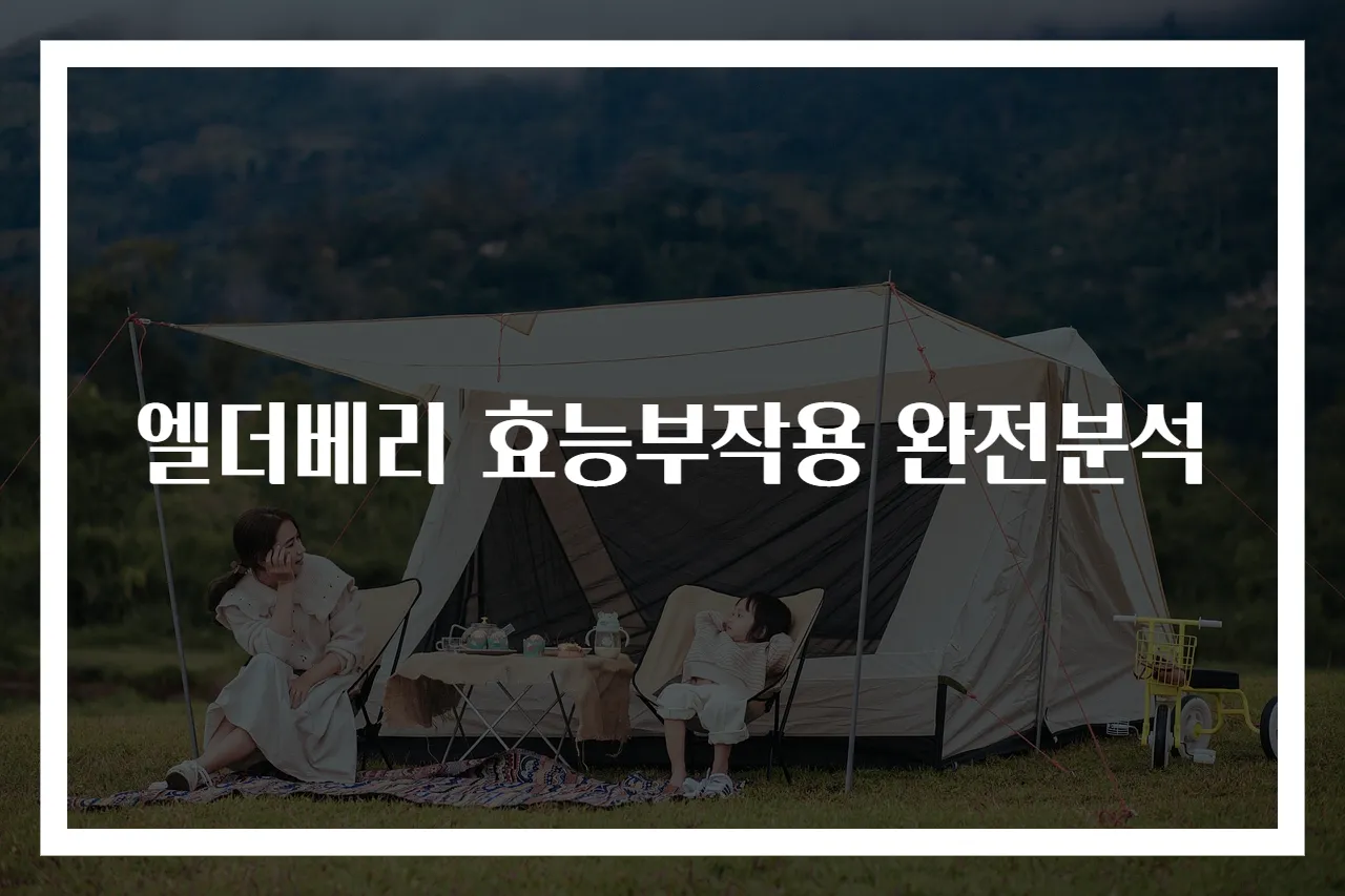 엘더베리 효능부작용 완전분석