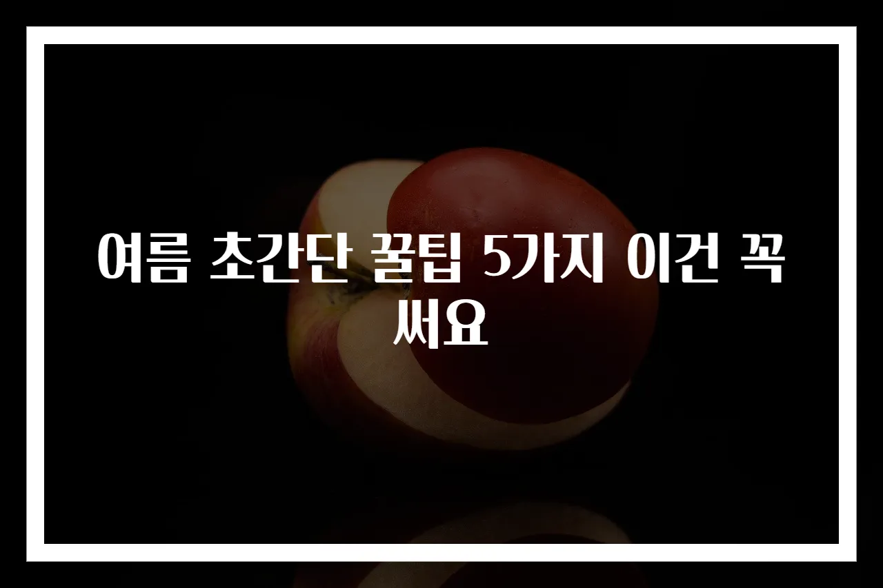 여름 초간단 꿀팁 5가지 이건 꼭 써요