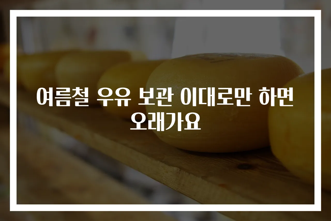 여름철 우유 보관 이대로만 하면 오래가요