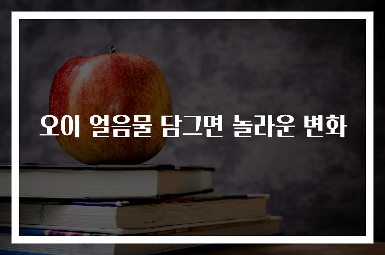 오이 얼음물 담그면 놀라운 변화