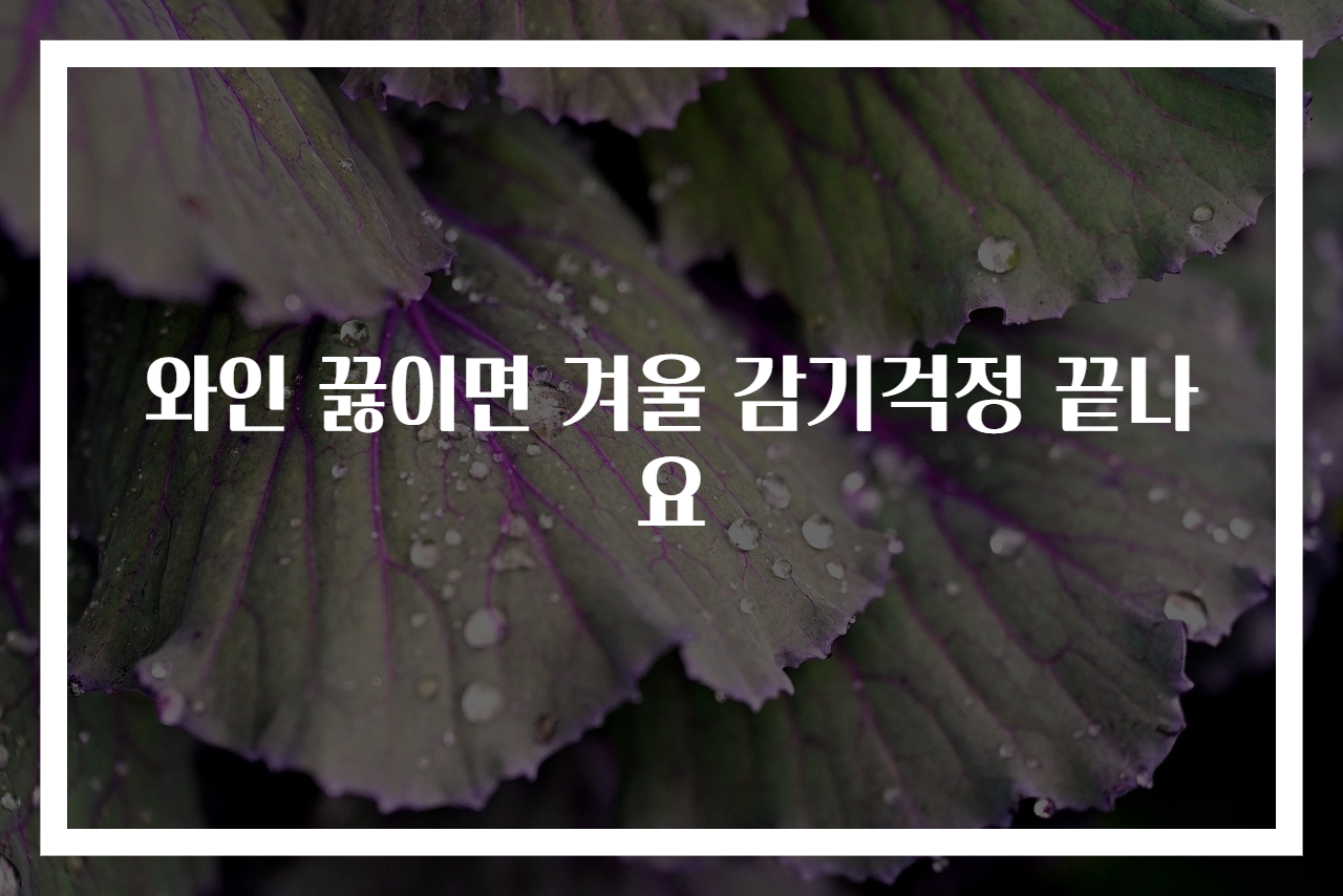 와인 끓이면 겨울 감기걱정 끝나요