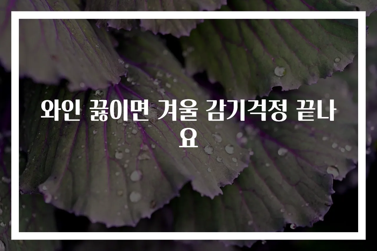 와인 끓이면 겨울 감기걱정 끝나요