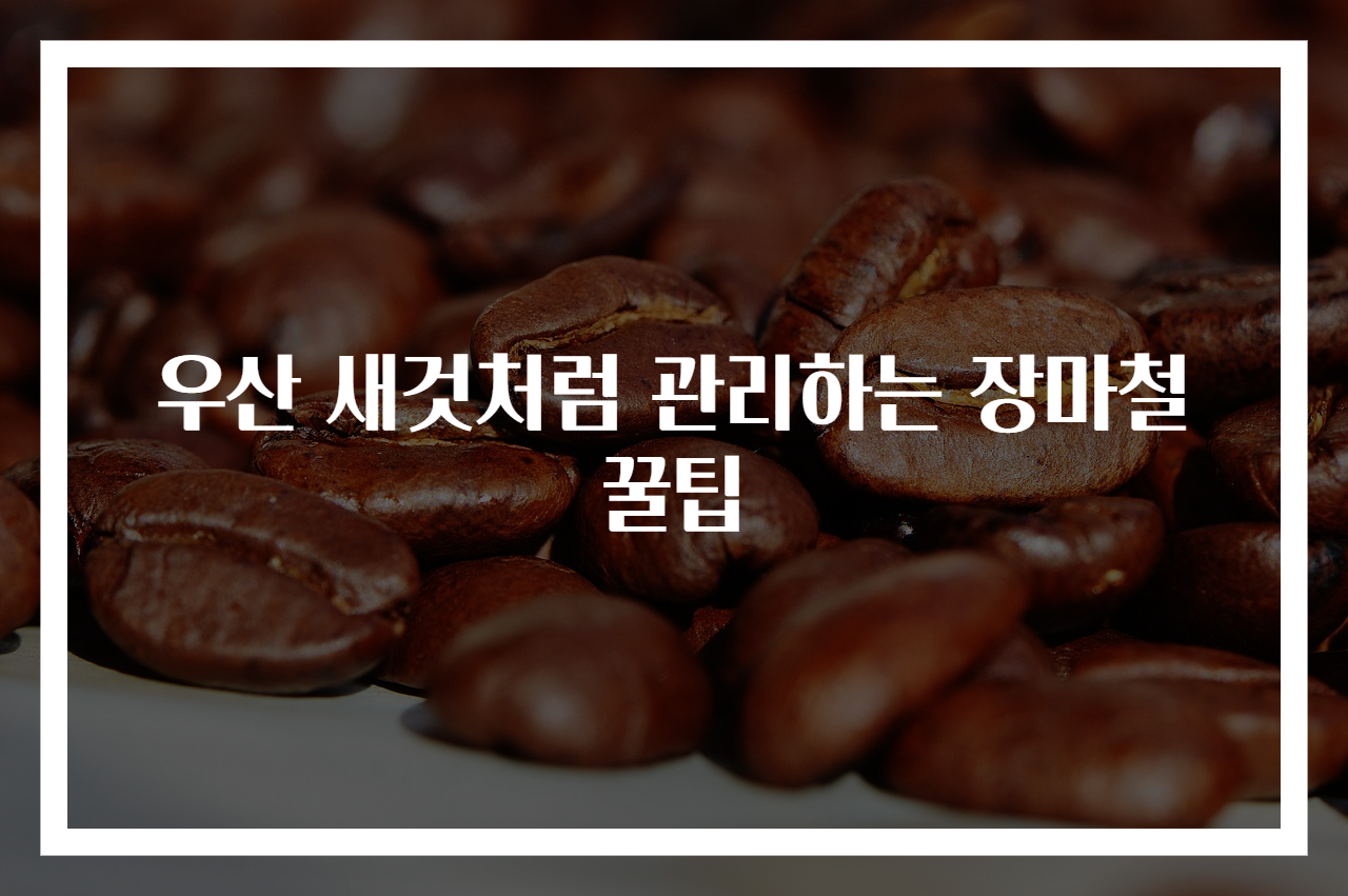 우산 새것처럼 관리하는 장마철 꿀팁