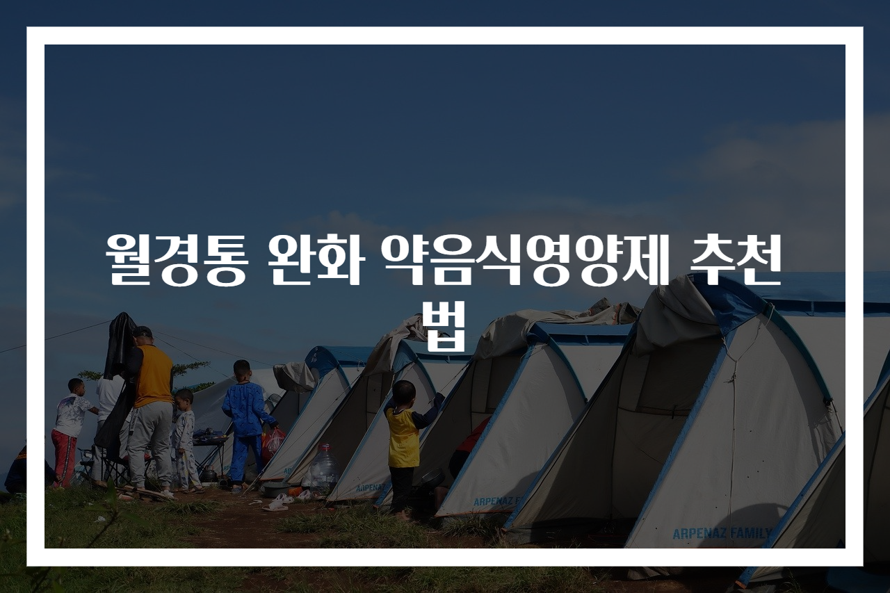 월경통 완화 약음식영양제 추천법