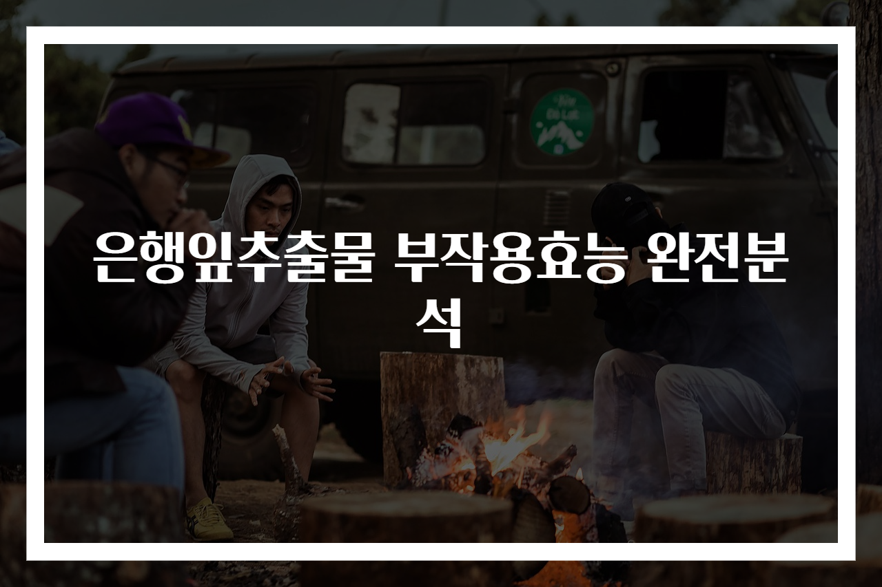 은행잎추출물 부작용효능 완전분석