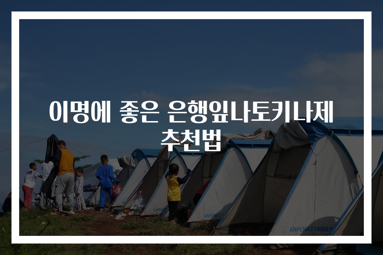 이명에 좋은 은행잎나토키나제 추천법