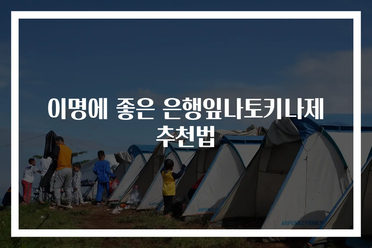 이명에 좋은 은행잎나토키나제 추천법
