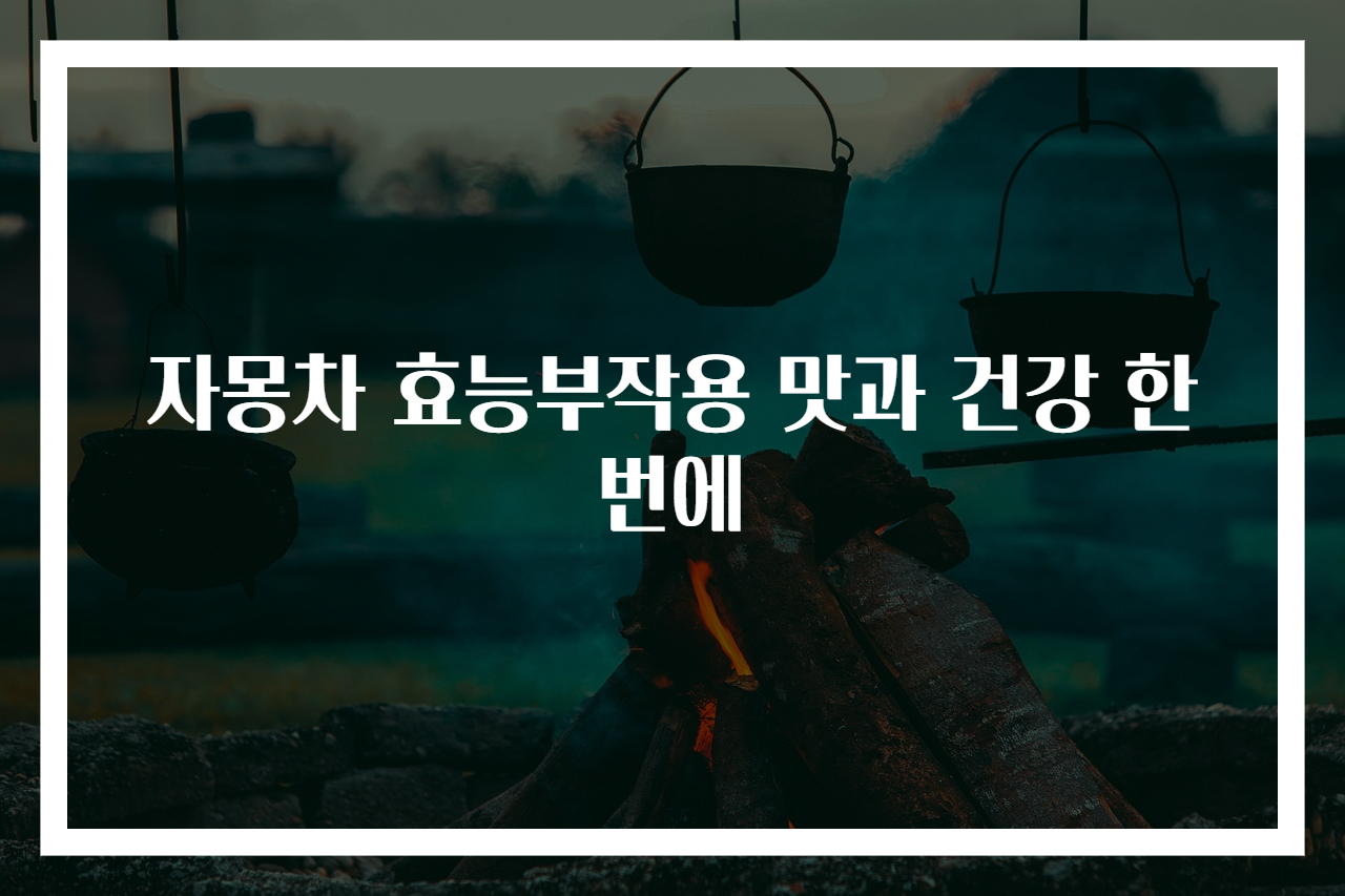 자몽차 효능부작용 맛과 건강 한 번에