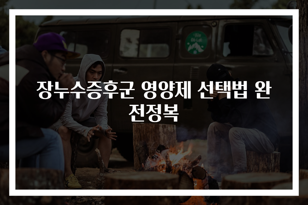 장누수증후군 영양제 선택법 완전정복