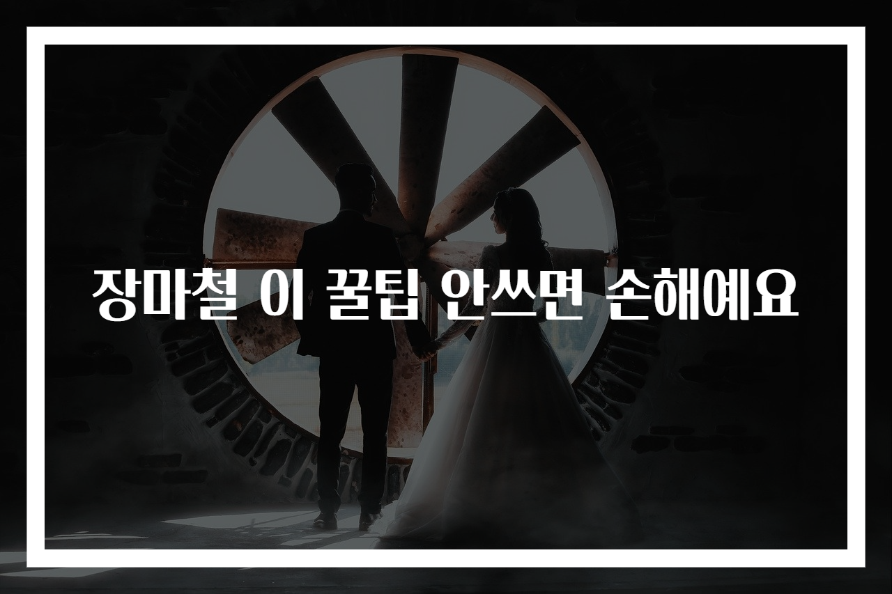 장마철 이 꿀팁 안쓰면 손해예요