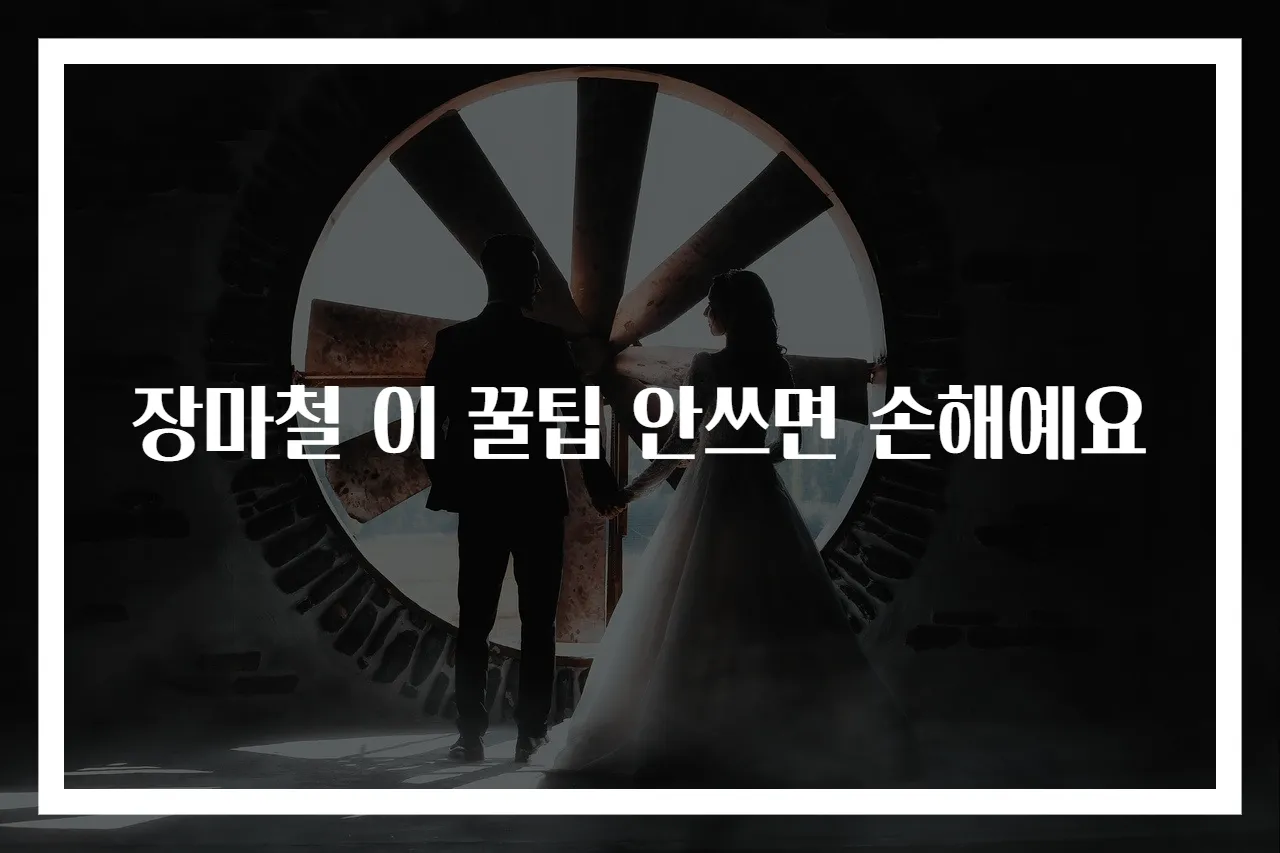 장마철 이 꿀팁 안쓰면 손해예요