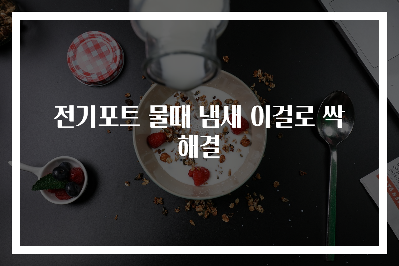 전기포트 물때 냄새 이걸로 싹 해결