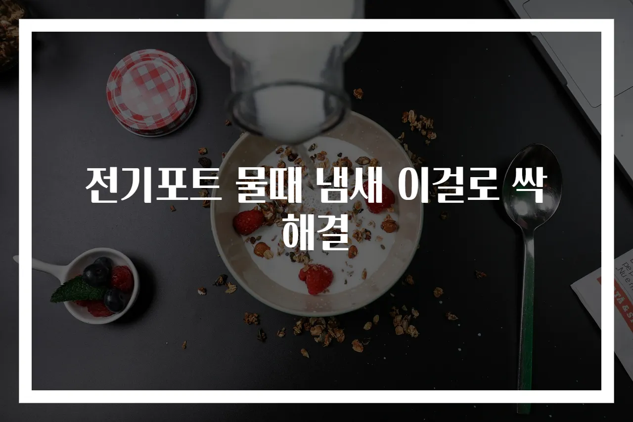 전기포트 물때 냄새 이걸로 싹 해결