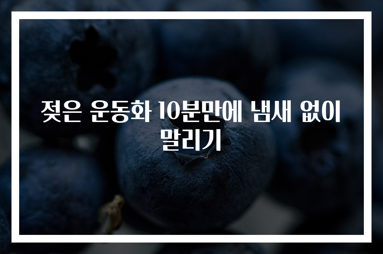 젖은 운동화 10분만에 냄새 없이 말리기