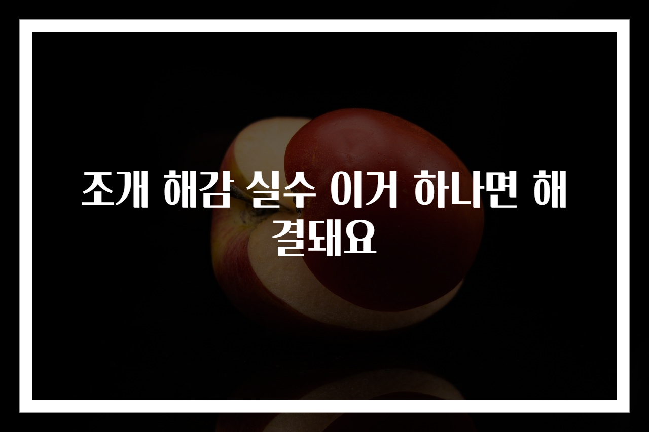 조개 해감 실수 이거 하나면 해결돼요