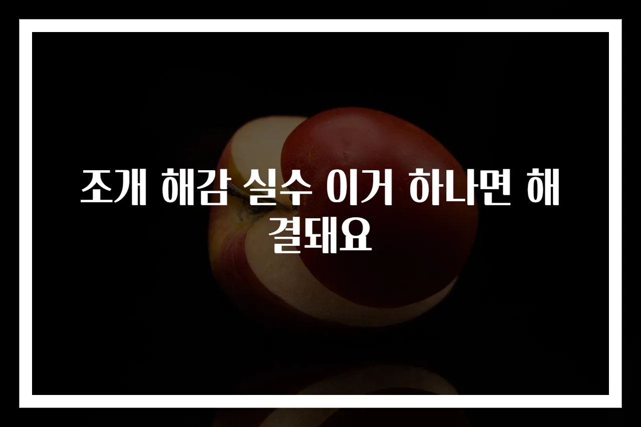 조개 해감 실수 이거 하나면 해결돼요