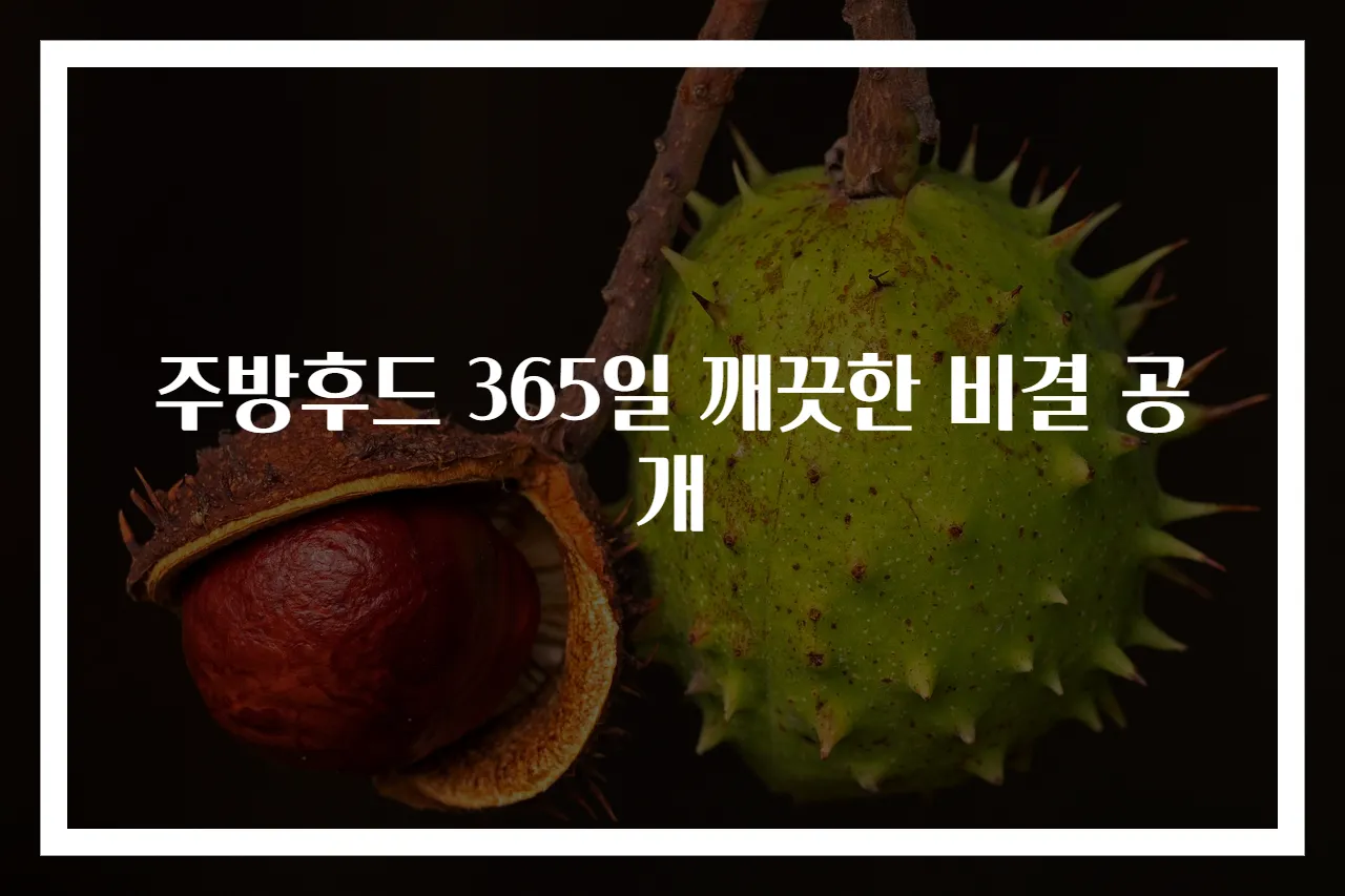 주방후드 365일 깨끗한 비결 공개