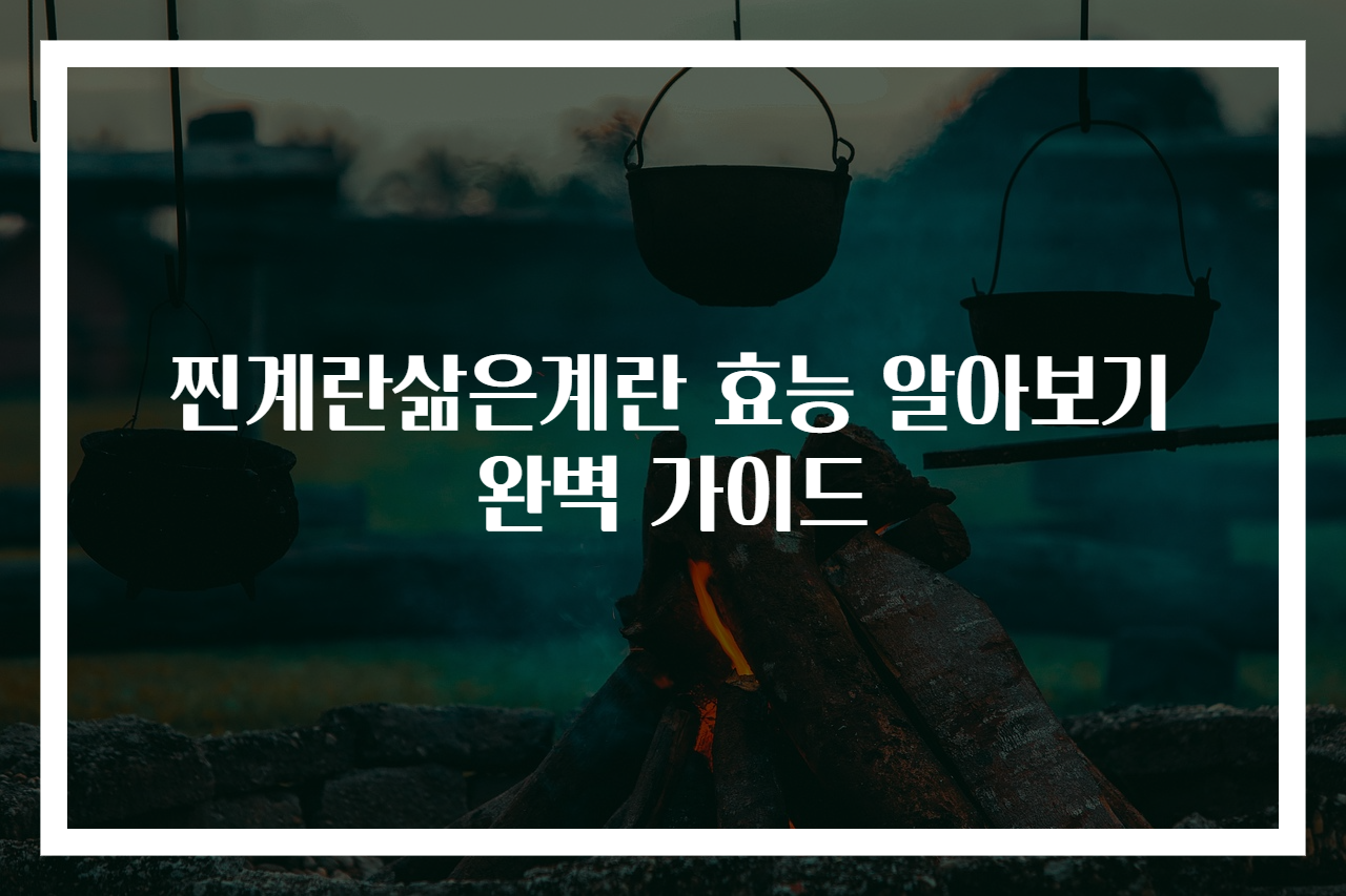 찐계란삶은계란 효능 알아보기 완벽 가이드