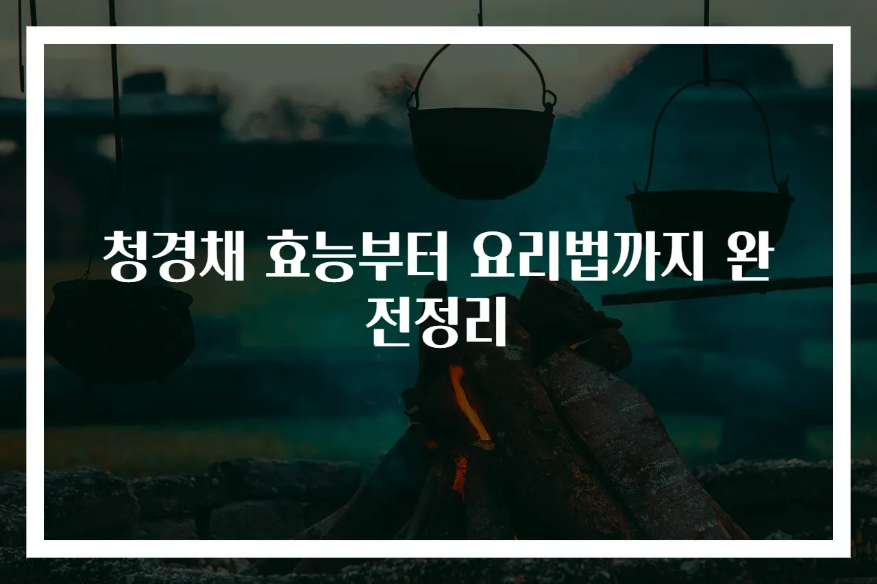 청경채 효능부터 요리법까지 완전정리