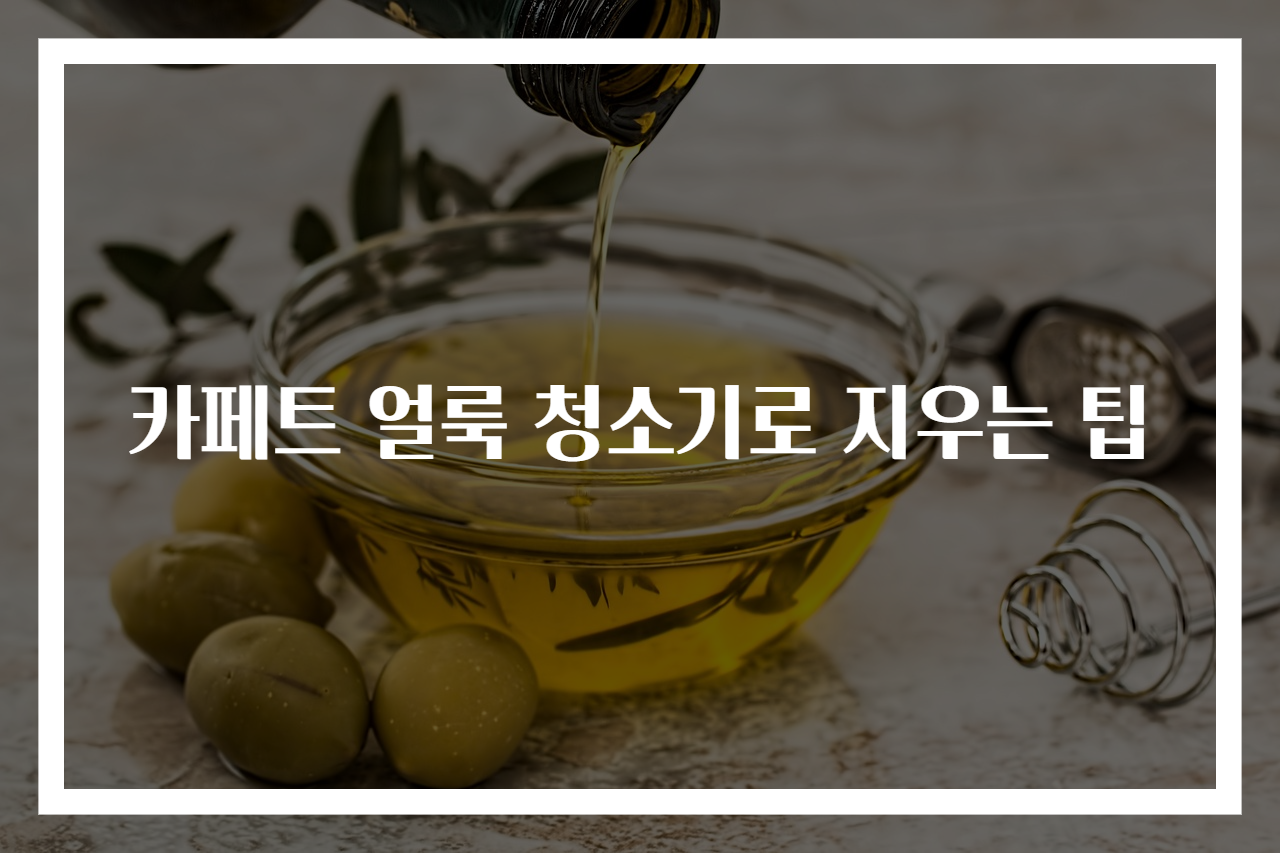 카페트 얼룩 청소기로 지우는 팁