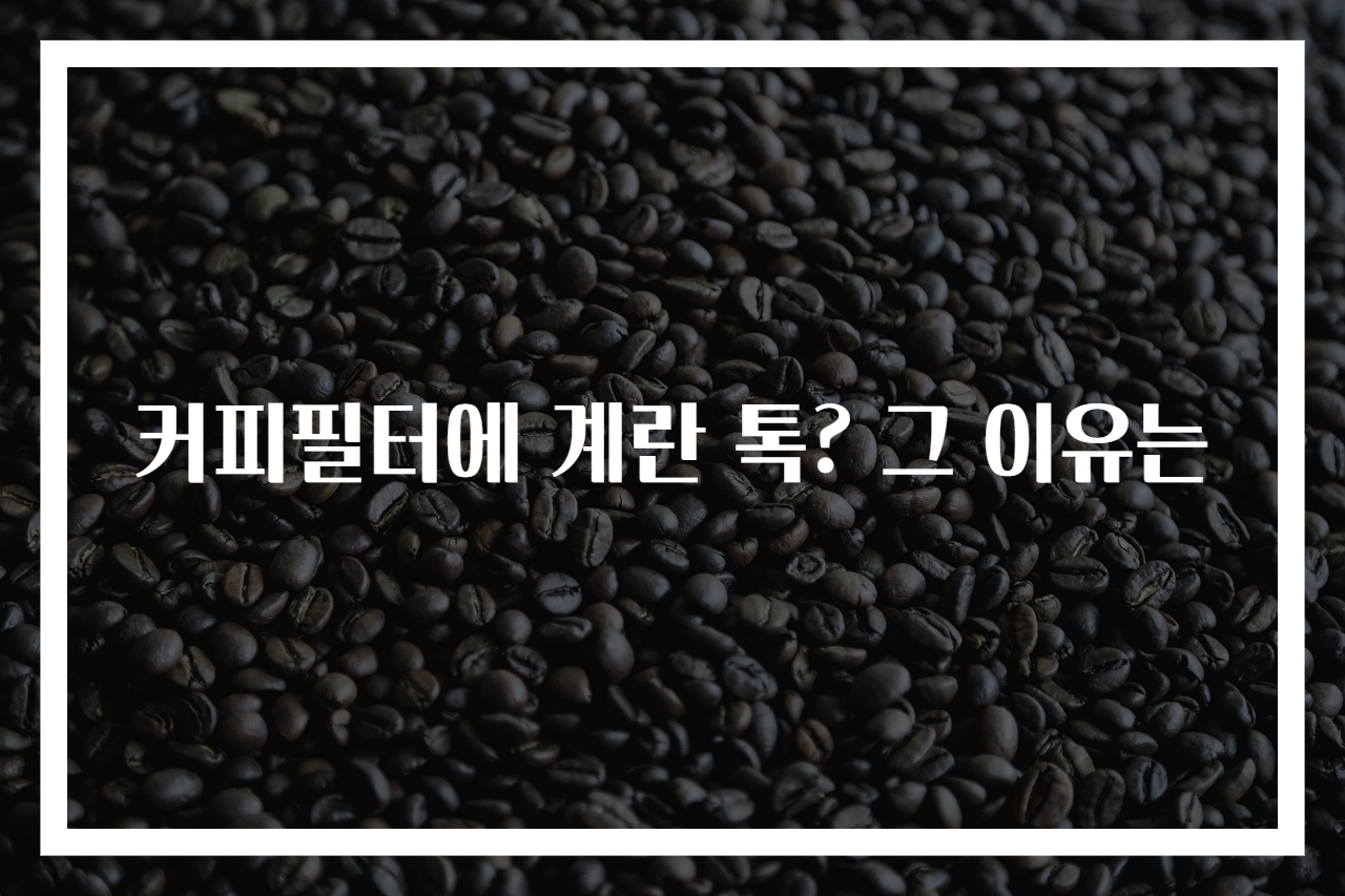 커피필터에 계란 톡? 그 이유는