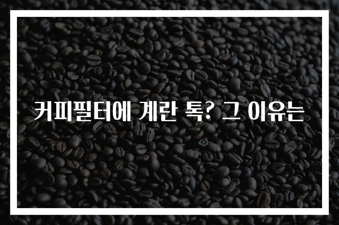 커피필터에 계란 톡? 그 이유는
