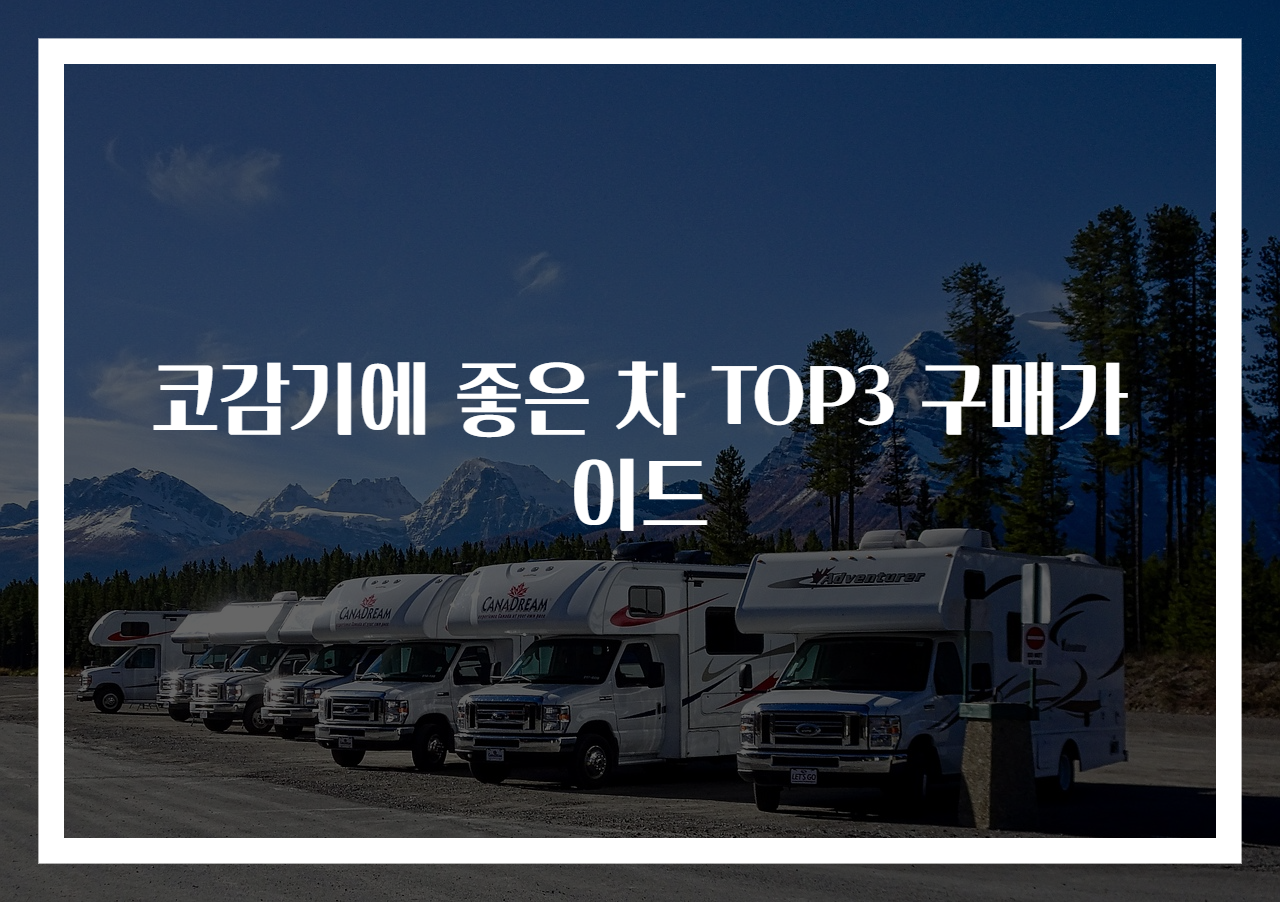 코감기에 좋은 차 TOP3 구매가이드