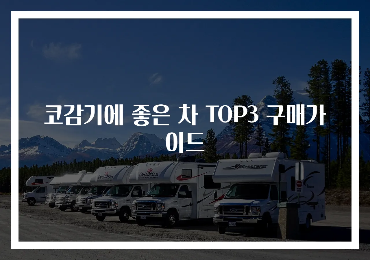 코감기에 좋은 차 TOP3 구매가이드