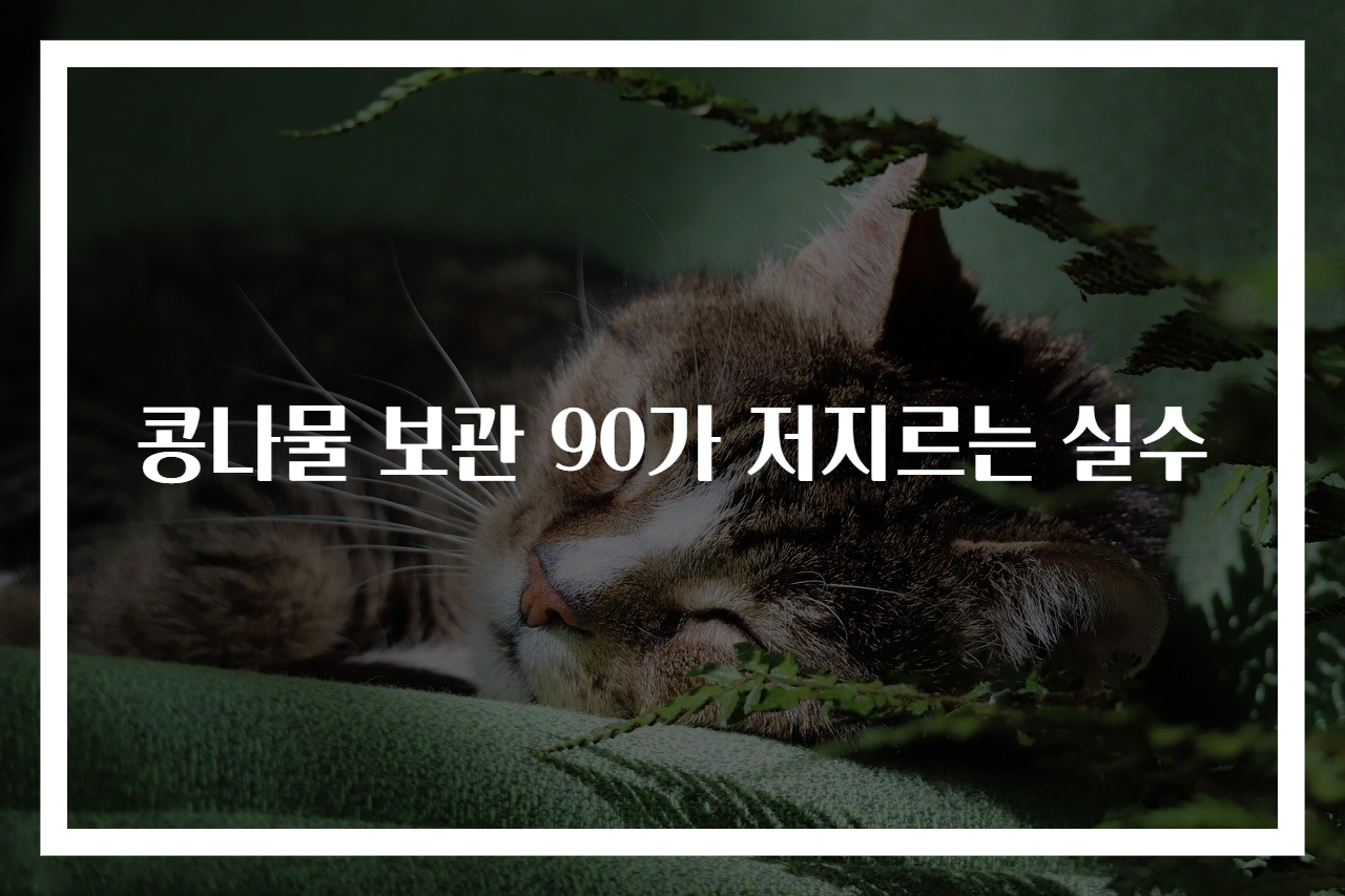 콩나물 보관 90가 저지르는 실수