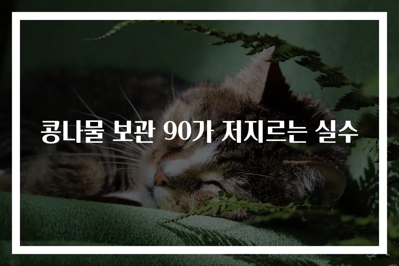 콩나물 보관 90가 저지르는 실수