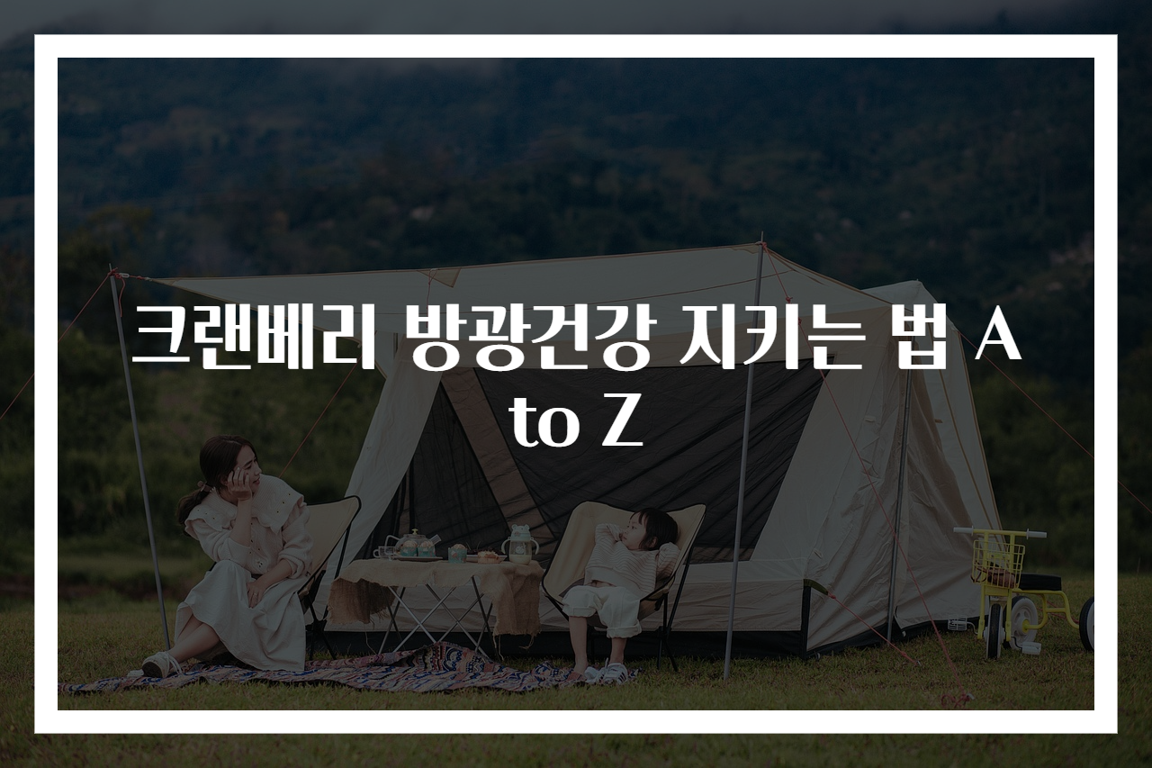 크랜베리 방광건강 지키는 법 A to Z