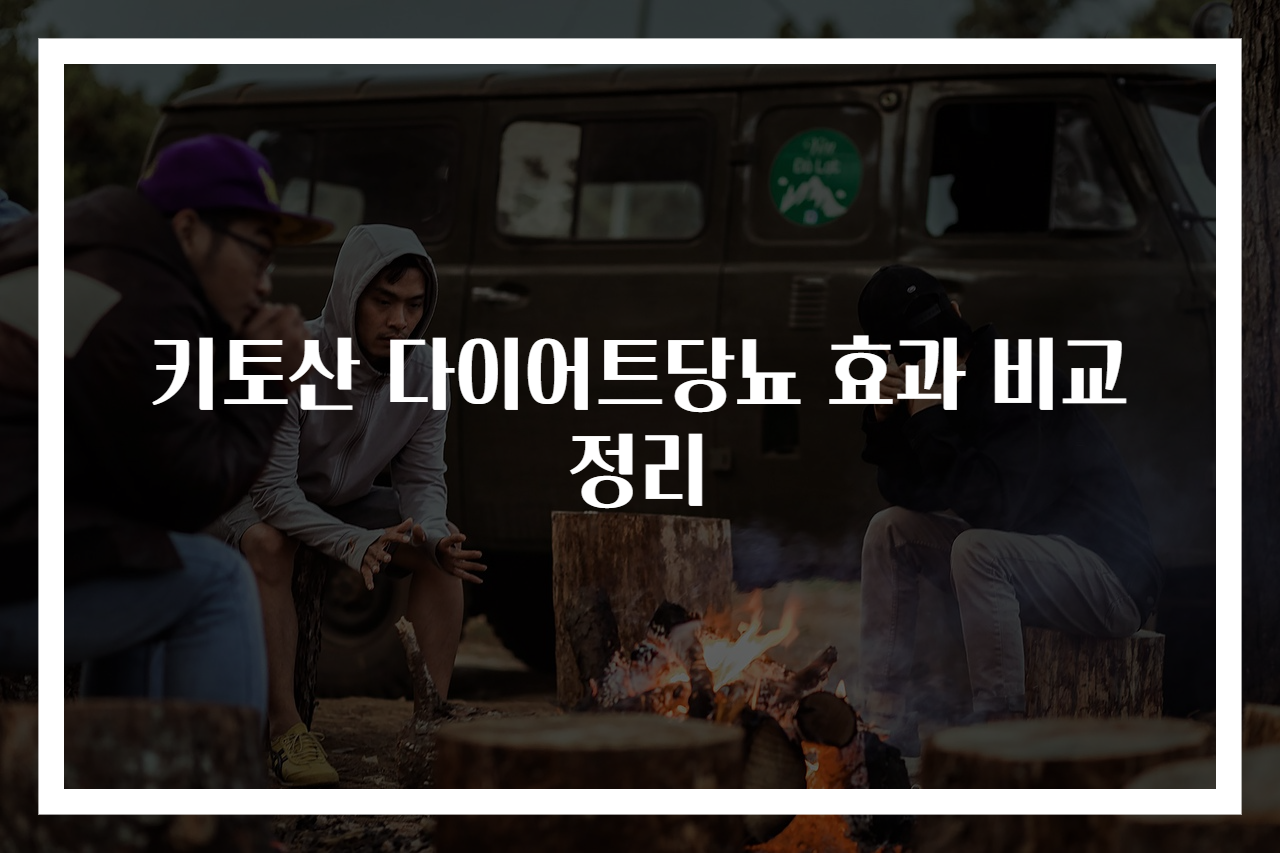 키토산 다이어트당뇨 효과 비교 정리
