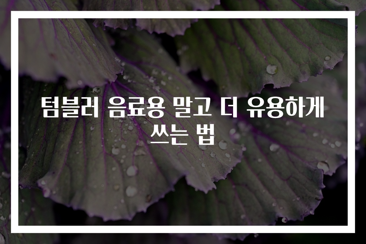 텀블러 음료용 말고 더 유용하게 쓰는 법
