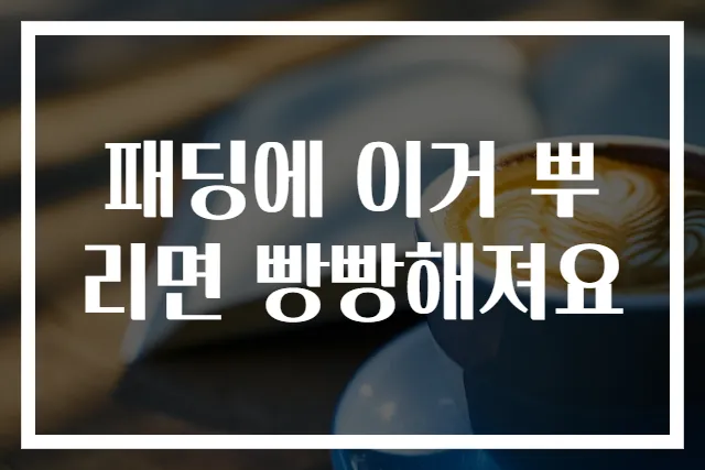 패딩에 이거 뿌리면 빵빵해져요