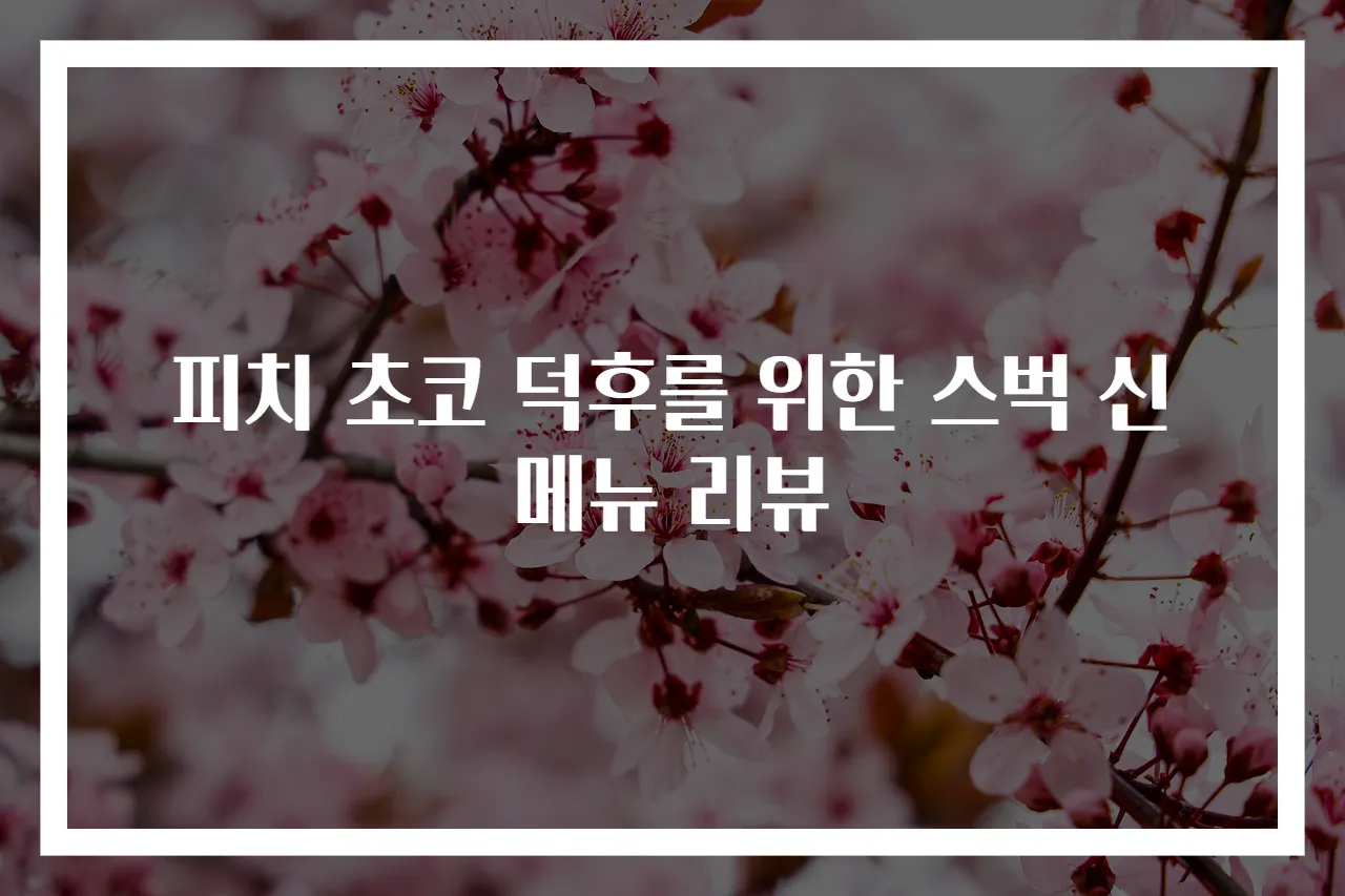피치 초코 덕후를 위한 스벅 신메뉴 리뷰